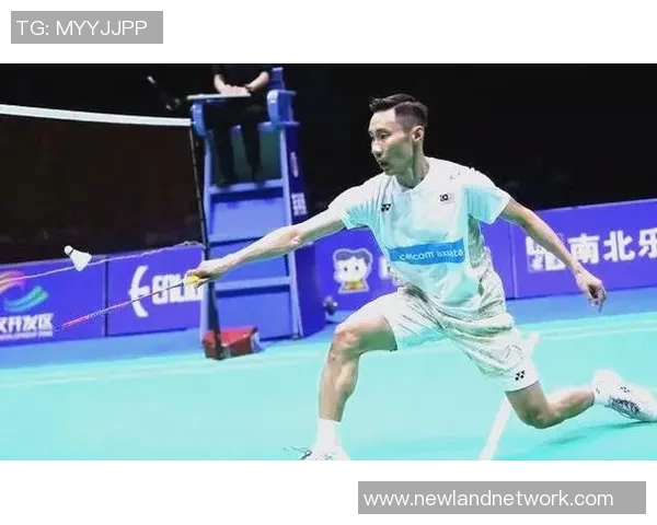 羽毛球赛事技术动作视频分析与训练应用